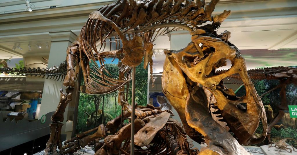 Los científicos sugieren que Tyrannosaurus tenía tres especies, no solo 'Rex'