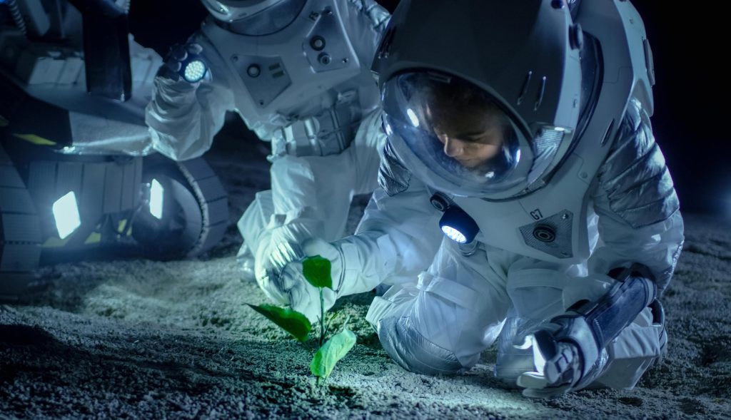 Los científicos cultivan plantas en suelo lunar, por primera vez en la historia de la humanidad