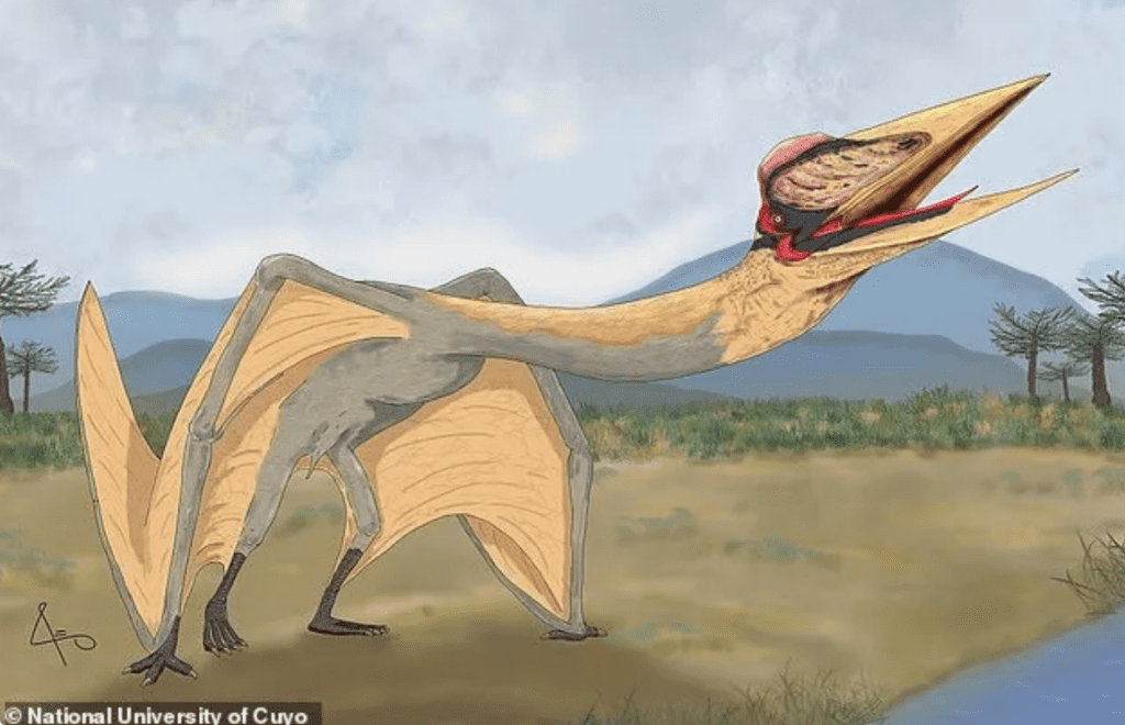 Fósiles antiguos de reptiles voladores gigantes descubiertos en Argentina