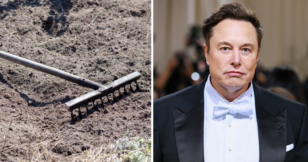 Elon Musk se ofrece a comprar el rastrillo en el que se subió