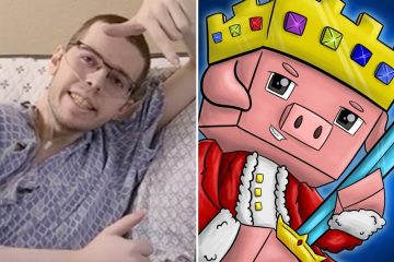 YouTuber de Minecraft desaparece un año después de ser diagnosticado con cáncer