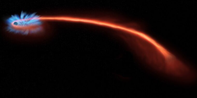 La luz polarizada revela el destino final de la estrella de "Spaghetti" por un agujero negro