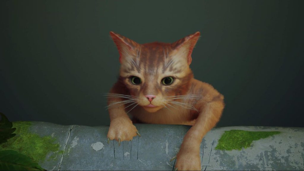 Cat Stray tiene problemas de rendimiento con Unreal Engine 4 en PC
