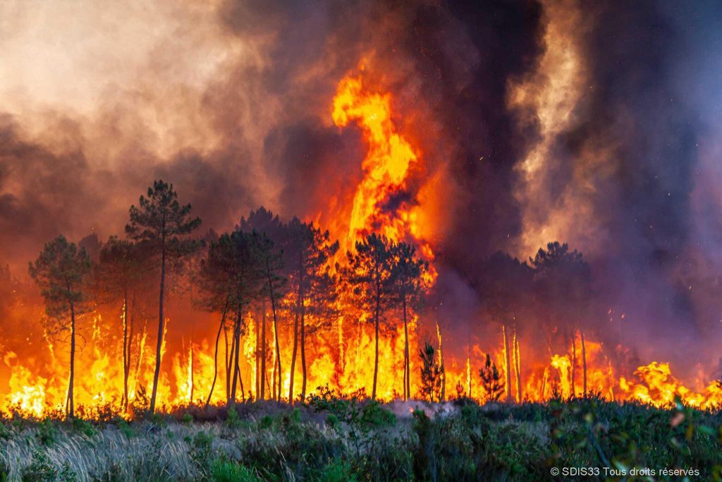 Europa arde en ola de calor que alimenta incendios en Francia y España