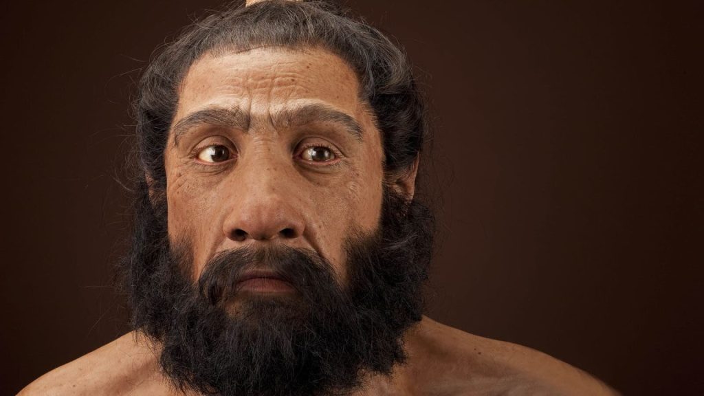 Estudio de cráneos antiguos arroja luz sobre el mestizaje de humanos con neandertales