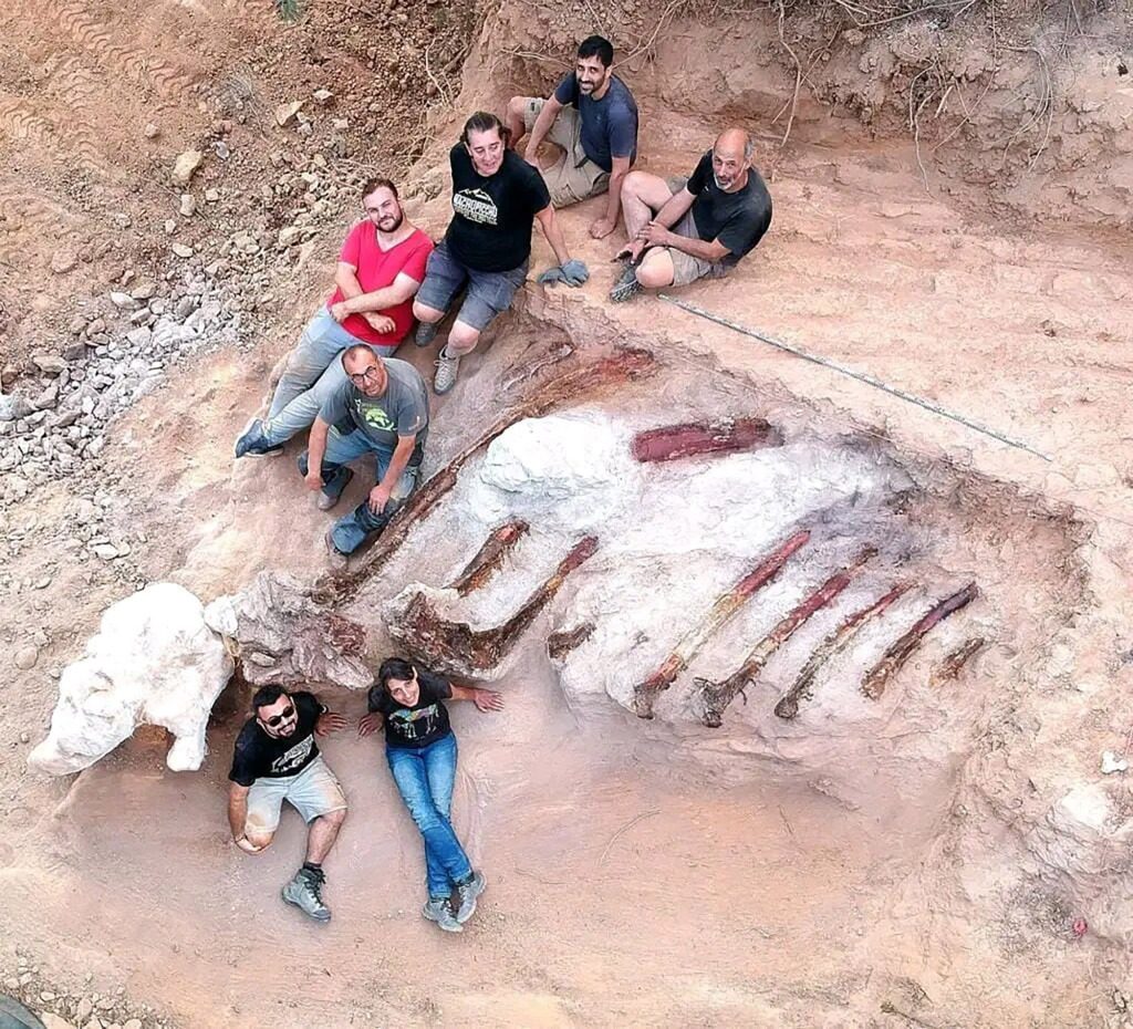 En agosto, los paleontólogos recolectaron costillas de 10 pies.  