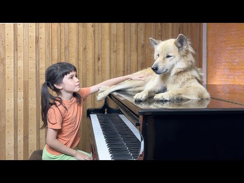 video "Rió Luna" en el piano para Sharky the Dog