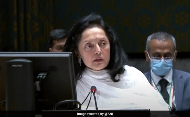 Ruchira Kamboj: 'No necesitamos decirnos qué hacer con la democracia': India en las Naciones Unidas