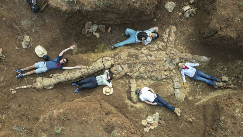 Plesiosaurio: cazadores de fósiles en Australia han descubierto un esqueleto de 100 millones de años